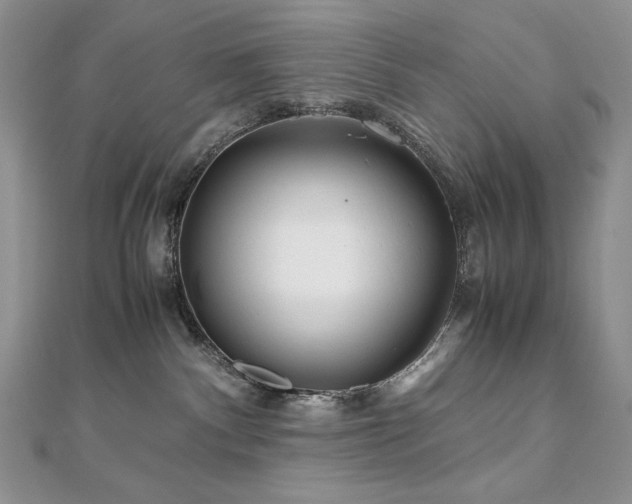 X0000110930140200906181437
