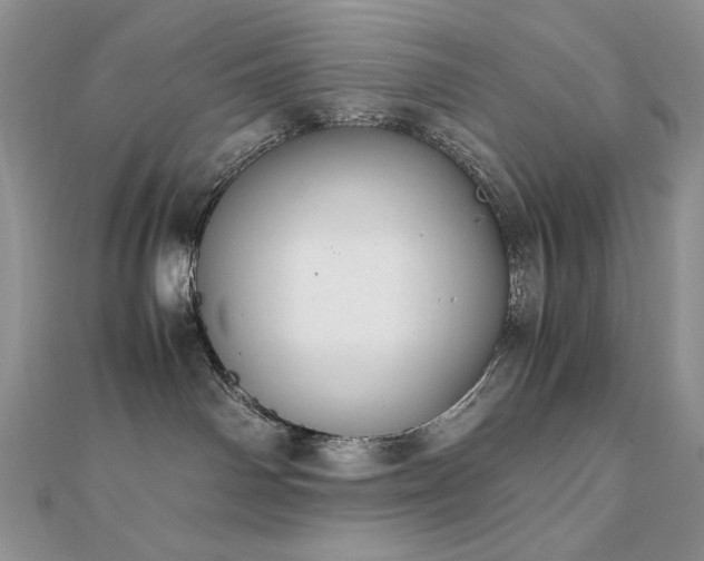 X0000110930142200906181437