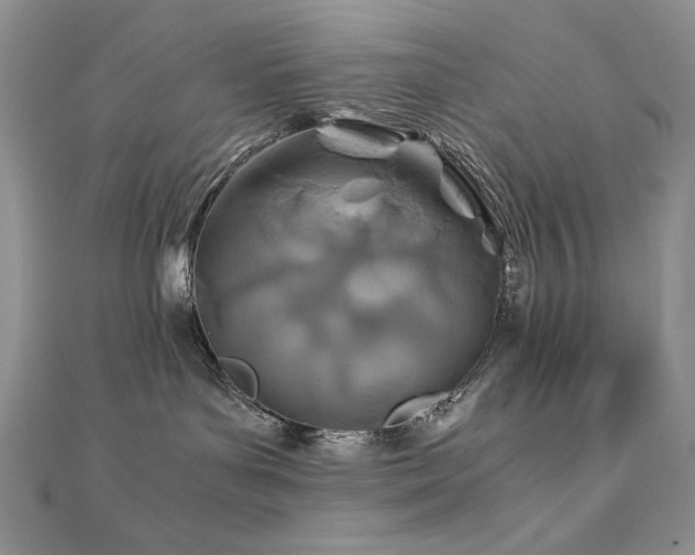X0000110930143200906181437