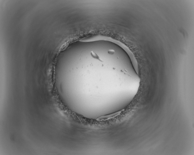 X0000110930144200906181437
