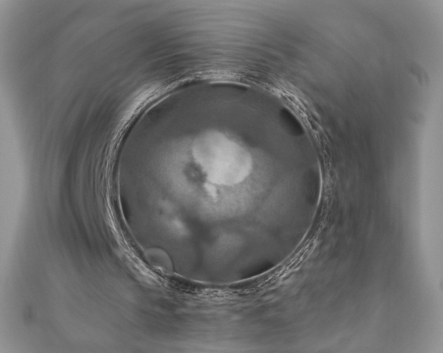 X0000110930145200906181436