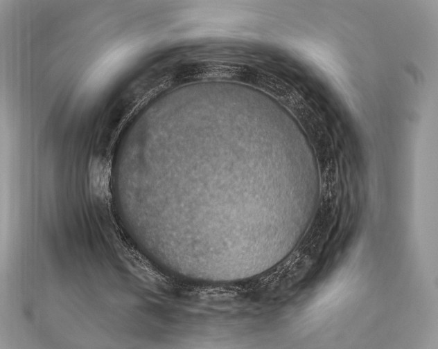 X0000110930146200906181436