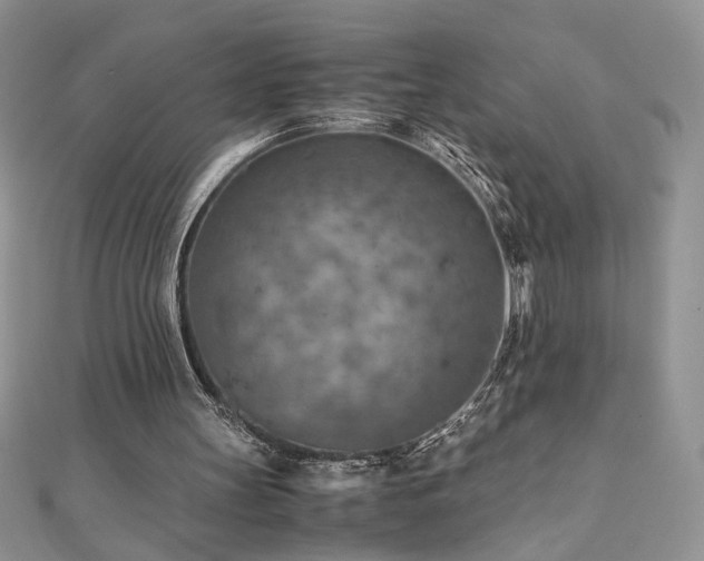 X0000110930147200906181436