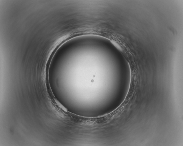 X0000110930148200906181436