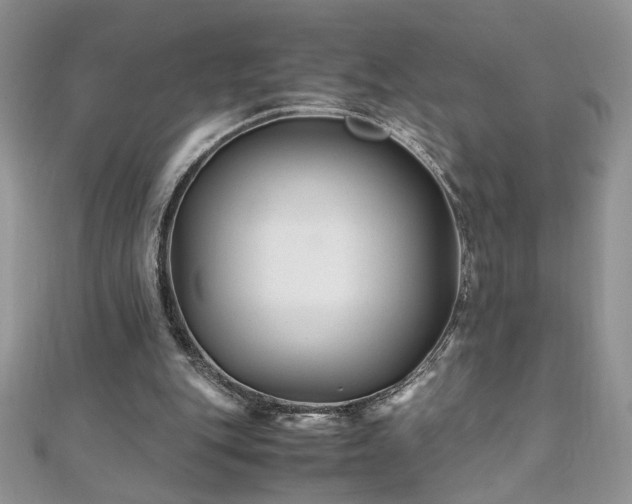 X0000110930151200906181436