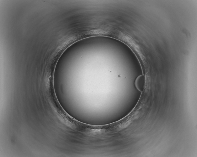 X0000110930153200906181436