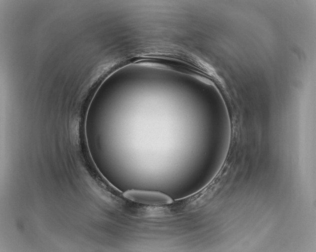 X0000110930154200906181436