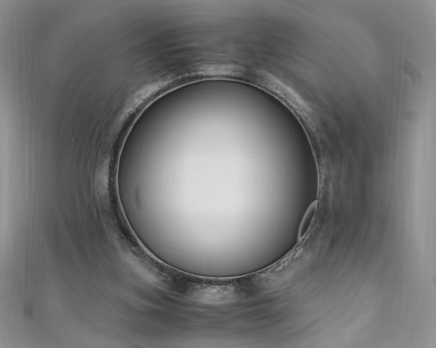 X0000110930155200906181436