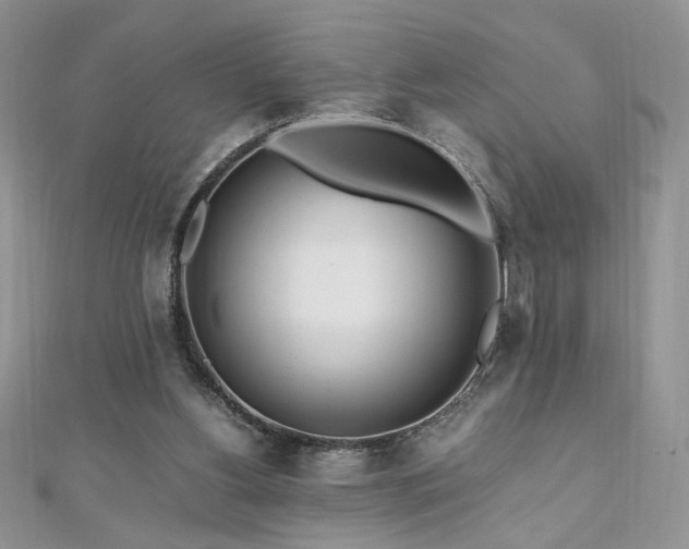 X0000110930156200906181436