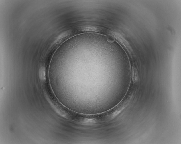 X0000110930157200906181436