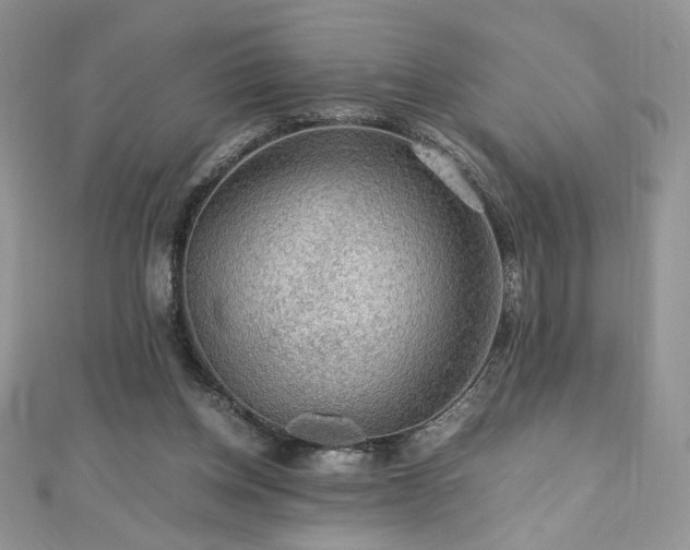 X0000110930158200906181436
