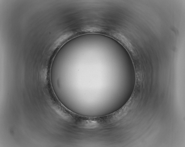 X0000110930159200906181436