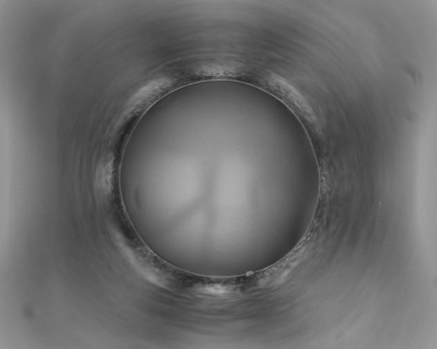 X0000110930163200906181436