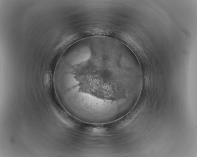X0000110930165200906181436