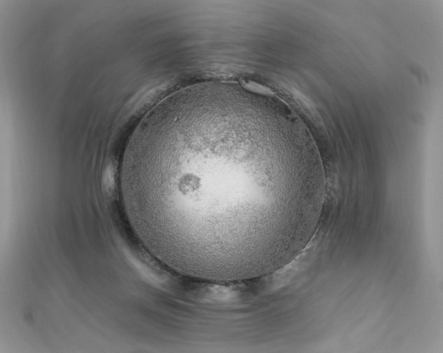 X0000110930166200906181436