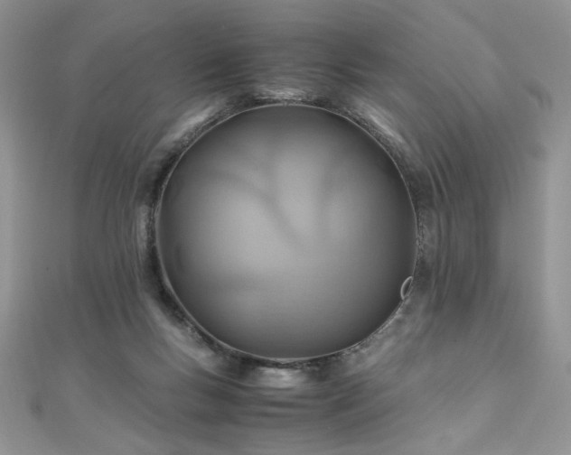 X0000110930167200906181436