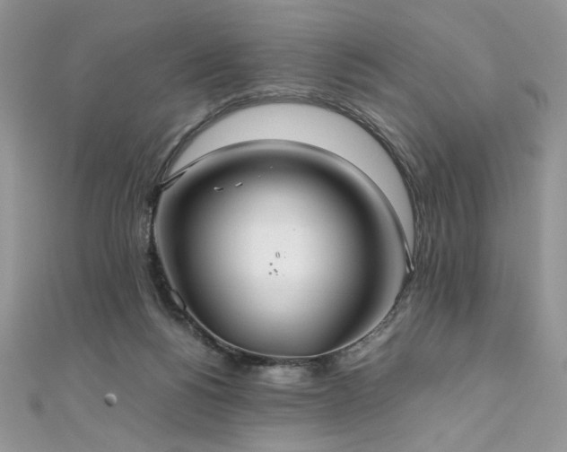 X0000110930168200906181436