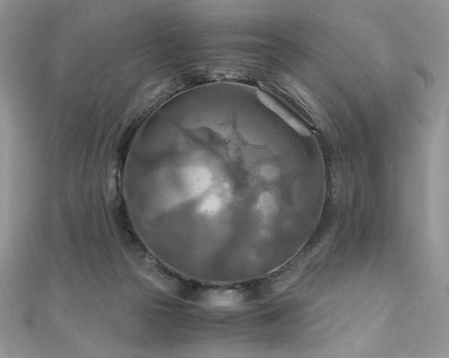 X0000110930169200906181436