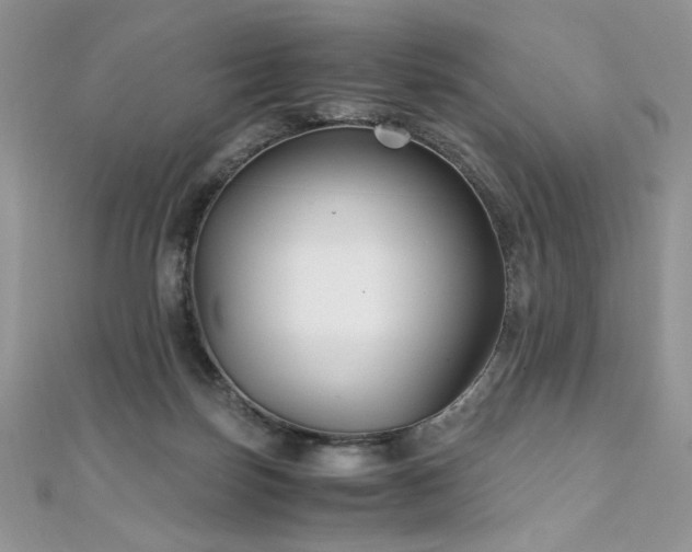 X0000110930171200906181436