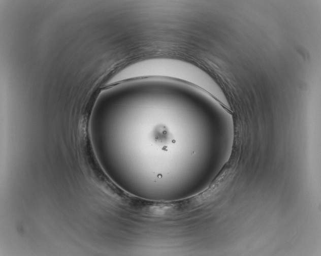 X0000110930172200906181436