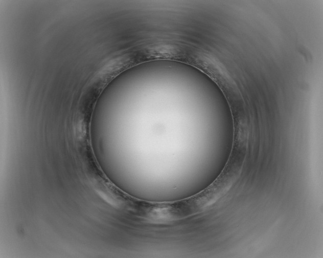 X0000110930173200906181436