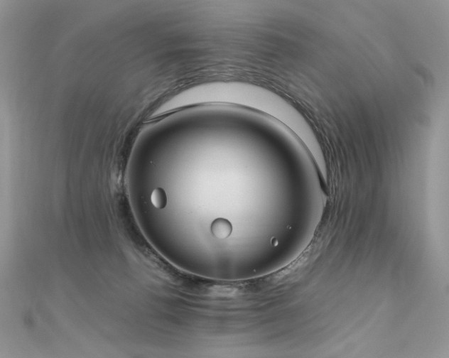 X0000110930176200906181436