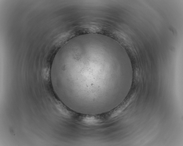 X0000110930177200906181436