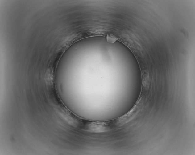 X0000110930179200906181436