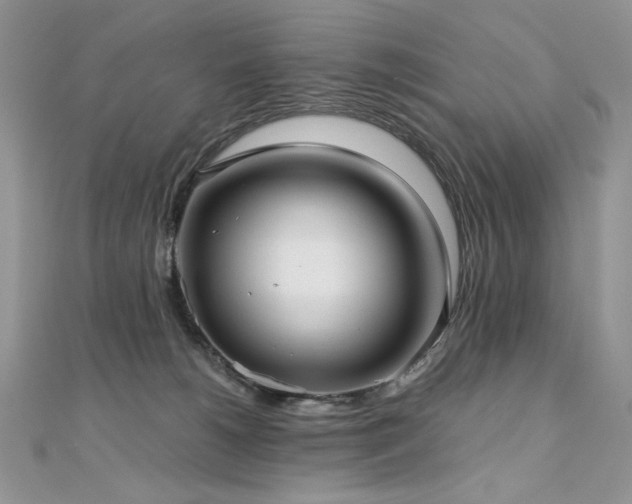 X0000110930180200906181437