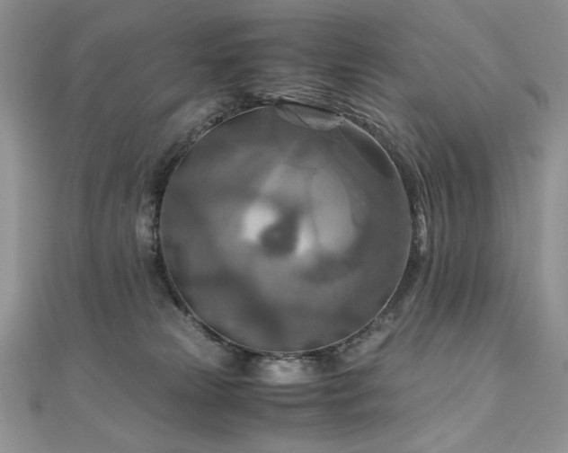X0000110930181200906181437