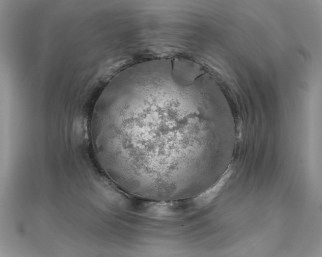 X0000110930182200906181437