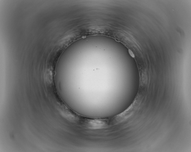 X0000110930183200906181437