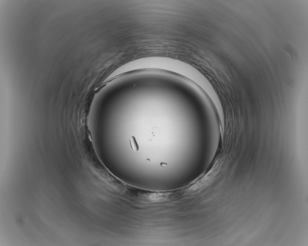 X0000110930184200906181437