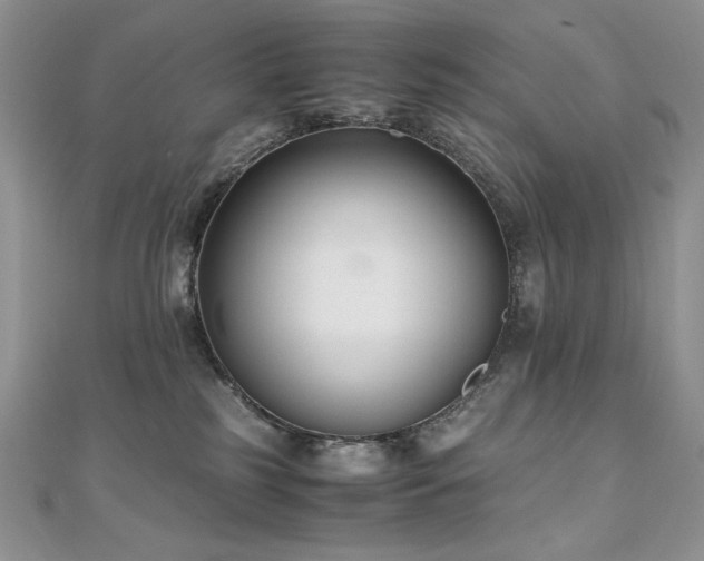 X0000110930185200906181437