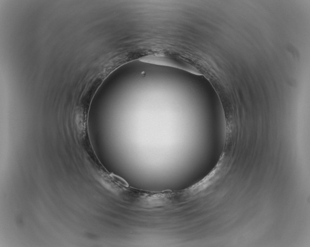 X0000110930186200906181437