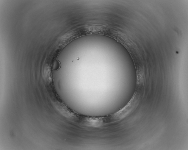 X0000110930187200906181437