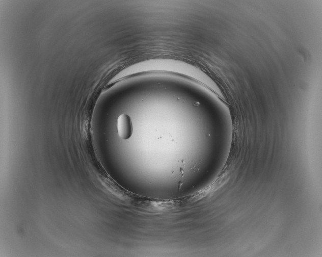 X0000110930188200906181437