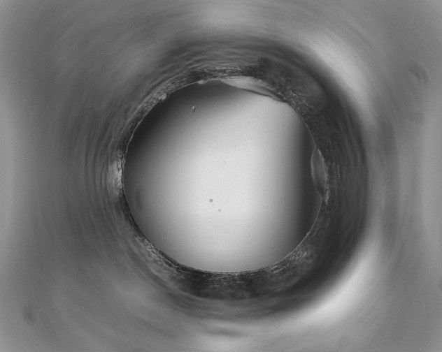 X0000110930190200906181437
