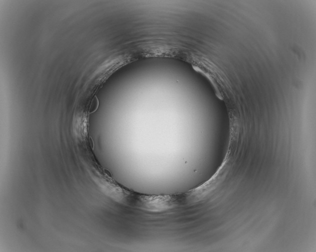 X0000110930191200906181437