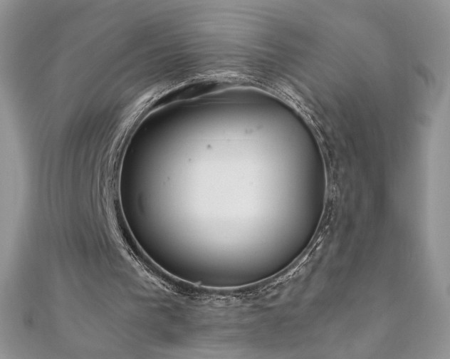 X0000110930193200906181436
