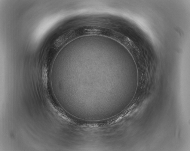 X0000110930194200906181436