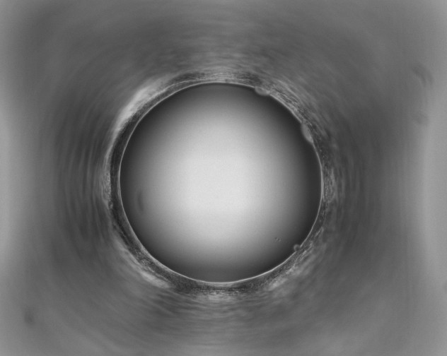 X0000110930198200906181436