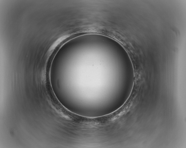 X0000110930200200906181436