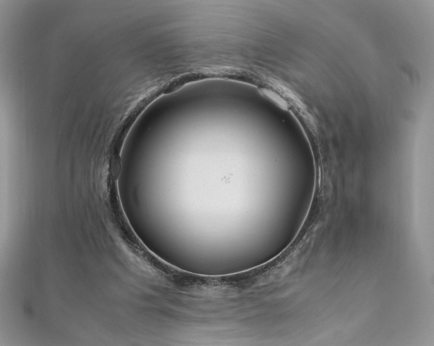 X0000110930201200906181436