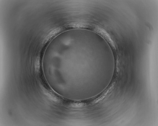 X0000110930202200906181436