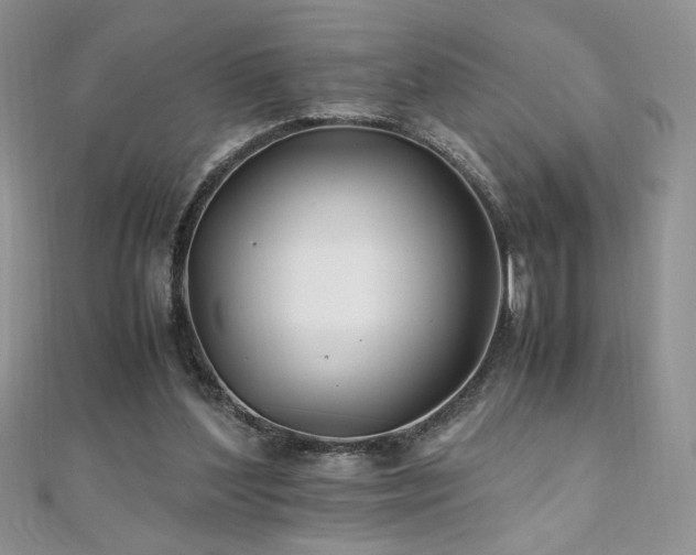 X0000110930204200906181436