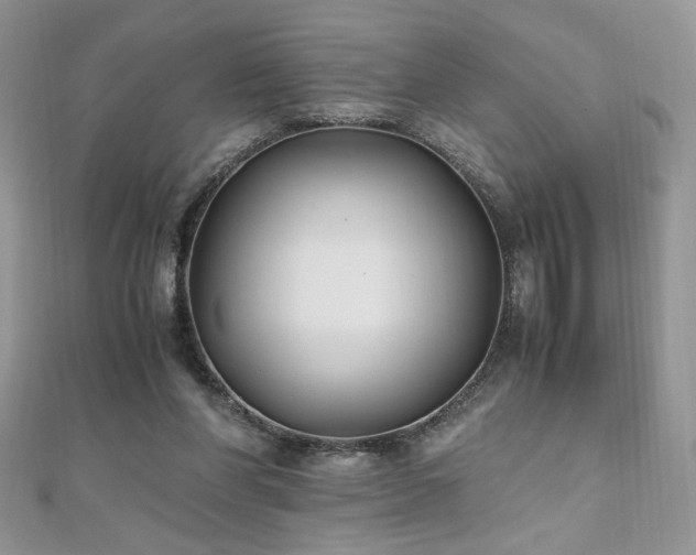 X0000110930206200906181436