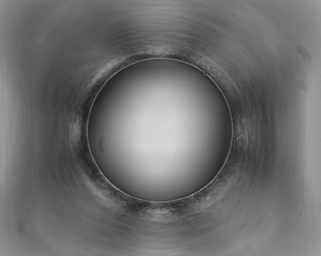 X0000110930208200906181436