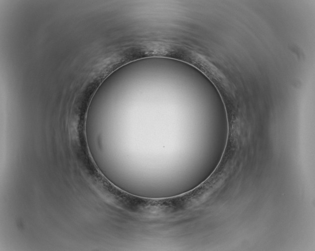 X0000110930209200906181436