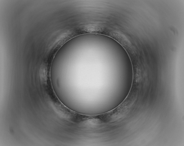 X0000110930210200906181436